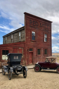 Power of the Dog, The